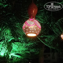 фото из отзыва ID 2738626