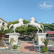 фото из отзыва ID 2738626