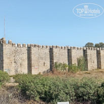 фото из отзыва ID 2738626