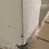 фото из отзыва ID 2738666