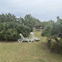 фото из отзыва ID 2738647