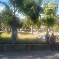 фото из отзыва ID 2738647