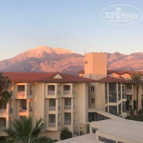 фото из отзыва ID 2738660