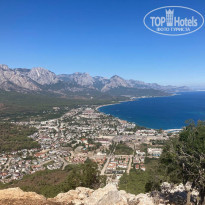 фото из отзыва ID 2738660