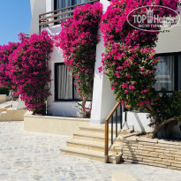 фото из отзыва ID 2738668