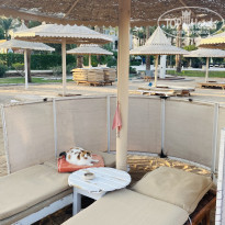 фото из отзыва ID 2738668