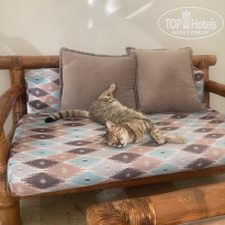 фото из отзыва ID 2738660