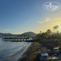 фото из отзыва ID 2738667