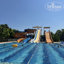 фото из отзыва ID 2738707