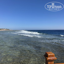 фото из отзыва ID 2738712