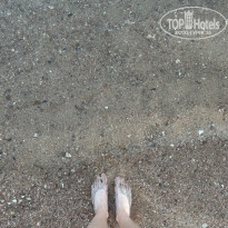 фото из отзыва ID 2738712