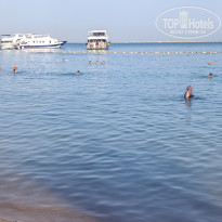 фото из отзыва ID 2738714