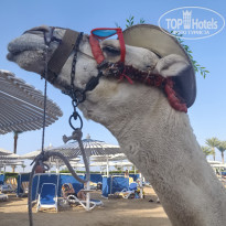 фото из отзыва ID 2738714