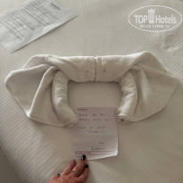 фото из отзыва ID 2738711