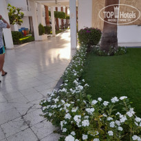 фото из отзыва ID 2738718