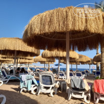 фото из отзыва ID 2738718