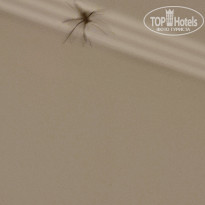 фото из отзыва ID 2738700