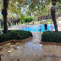 фото из отзыва ID 2738700