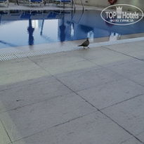 фото из отзыва ID 2738726