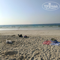 фото из отзыва ID 2738726