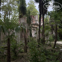 фото из отзыва ID 2738730