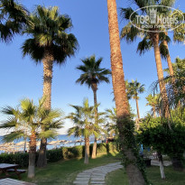 фото из отзыва ID 2738757