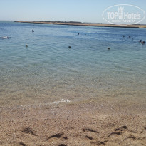 фото из отзыва ID 2738760