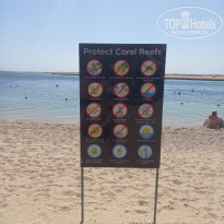 фото из отзыва ID 2738760