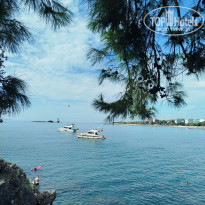 фото из отзыва ID 2738765