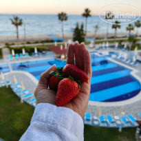 фото из отзыва ID 2738751