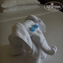 фото из отзыва ID 2738755