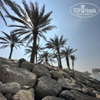 фото из отзыва ID 2738787