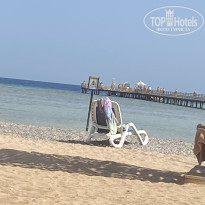 фото из отзыва ID 2738583