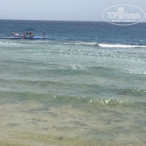 фото из отзыва ID 2738796