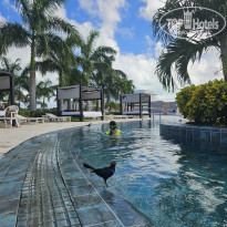 фото из отзыва ID 2738799