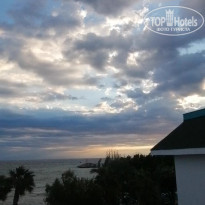 фото из отзыва ID 2738816