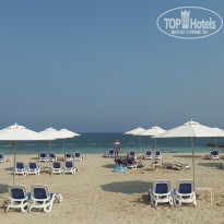 фото из отзыва ID 2738834