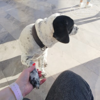 фото из отзыва ID 2738847