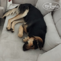 фото из отзыва ID 2738847