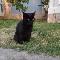 фото из отзыва ID 2738847