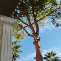 фото из отзыва ID 2738847