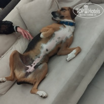 фото из отзыва ID 2738847