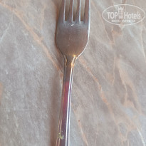 фото из отзыва ID 2738850