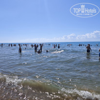 фото из отзыва ID 2738852