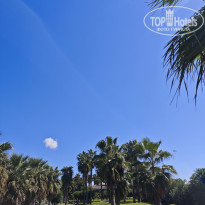 фото из отзыва ID 2738852