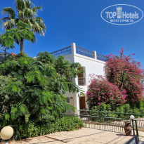 фото из отзыва ID 2738864