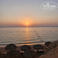 фото из отзыва ID 2738864