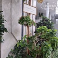 фото из отзыва ID 2738046