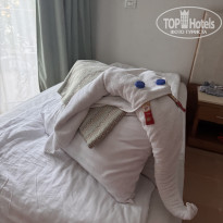 фото из отзыва ID 2738892