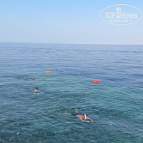 фото из отзыва ID 2738866